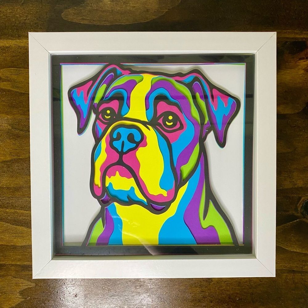 3D Boxer Multicolor Shadowbox - Picture 5 of 8